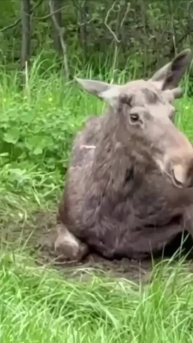 Нажми и смотри