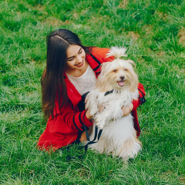 Опасно и даже смертельно: чем грозит собаке укус клеща и как защитить питомца?