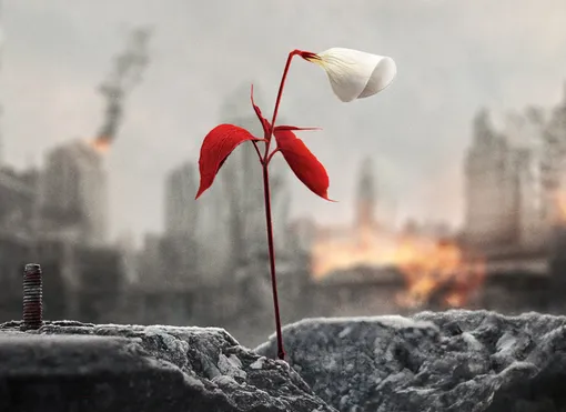 Кадр из сериала «Рассказ служанки», MGM Television/MGM/UA Television/Hulu, режиссеры Майк Баркер, Кари Скогланд, Даина Рейд и другие Кадр из сериала «Рассказ служанки» 4 сезон смотреть онлайн бесплатно