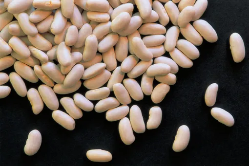 Белая фасоль Белая фасоль