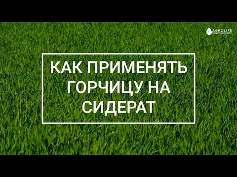 Нажми и смотри