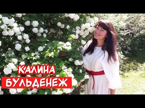 Нажми и смотри