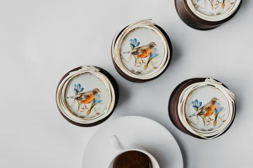 «Птичка» «Птичка»