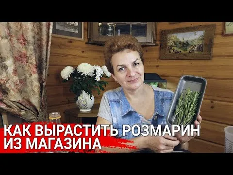 Нажми и смотри