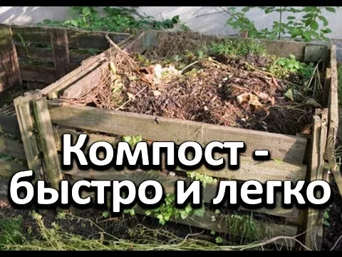 Нажми и смотри Нажми и смотри