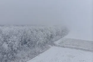 Камчатку засыпало снегом: тысячи людей остались без электричества