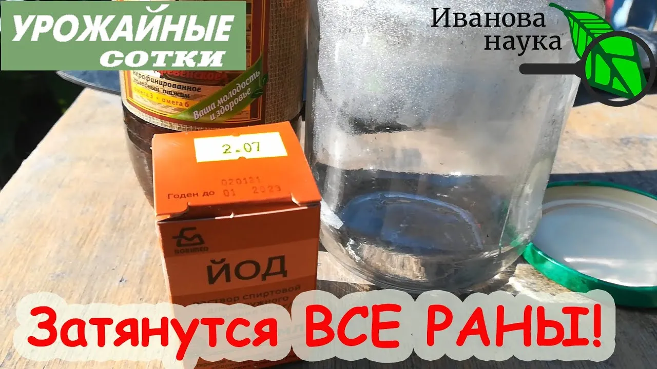 Нажми и смотри Нажми и смотри