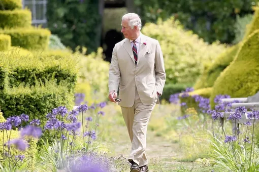 Пеньки и памятник дочерям Николая II: как выглядит сад короля Карла? Пеньки и памятник дочерям Николая II: как выглядит сад короля Карла?