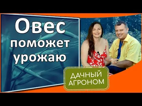 Нажми и смотри