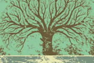 Судьба и генограмма