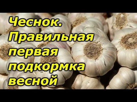 Нажми и смотри