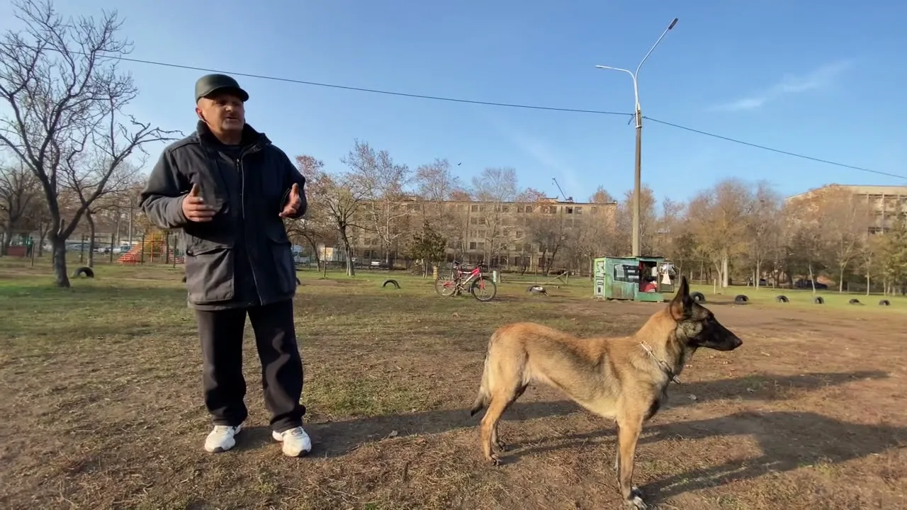 Нажми и смотри Нажми и смотри