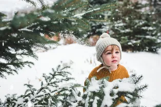 Мальчик вышел покатать своего пса на санях и получил неожиданный подарок Мальчик вышел покатать своего пса на санях и получил неожиданный подарок
