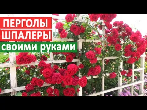 Нажми и смотри