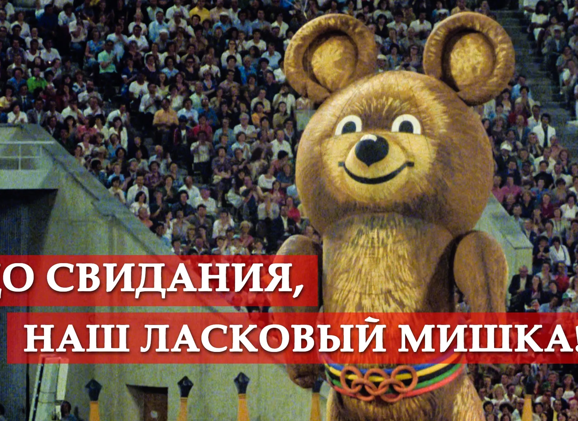 Нажми и смотри