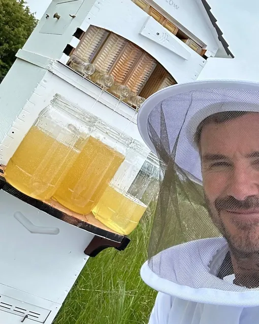 Дэвид Бекхэм на своей пасеке