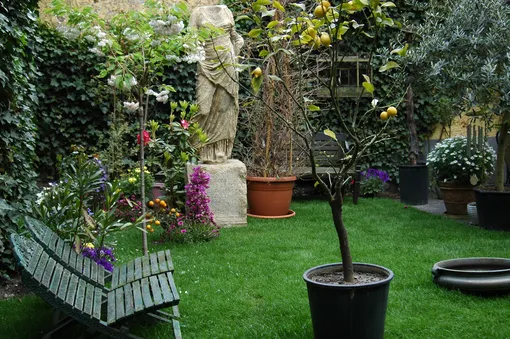 4 тренда в садоводстве, которые будут популярными в 2026 году