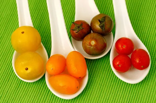 20 забавных фактов про томаты фото