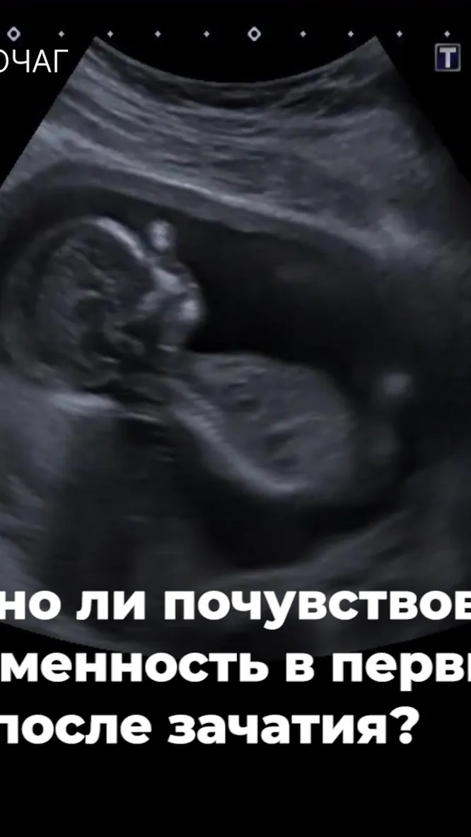 Нажми и смотри