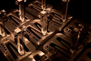 Дарья Коробова, Софья Озерова, Лена Червова и другие звезды на премии Men Today Trends Авто