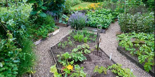 осенняя дача