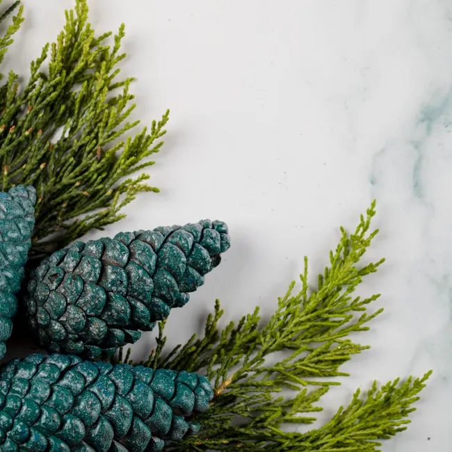 9 вечнозеленых растений для гирлянд, венков и украшений на улице