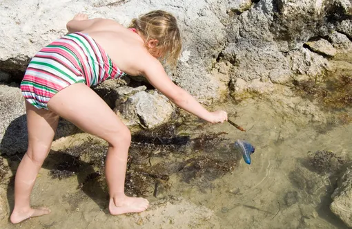 У восьмилетнего россиянина начался некроз ног после ожога ядовитой медузой в Таиланде У восьмилетнего россиянина начался некроз ног после ожога ядовитой медузой в Таиланде