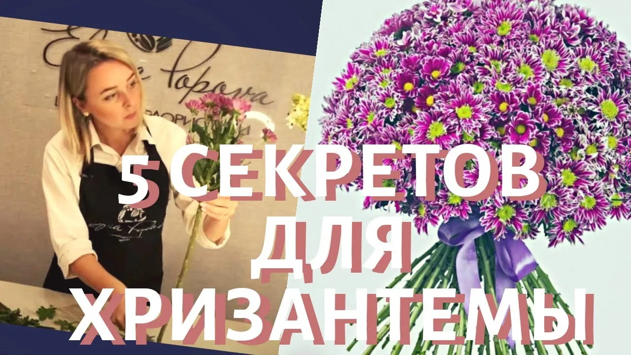 Нажми и смотри