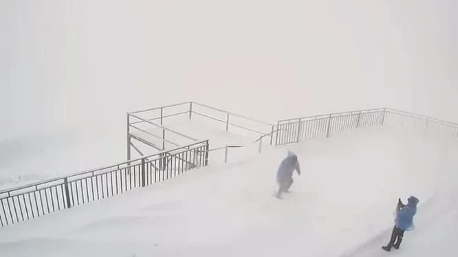 Нажми и смотри