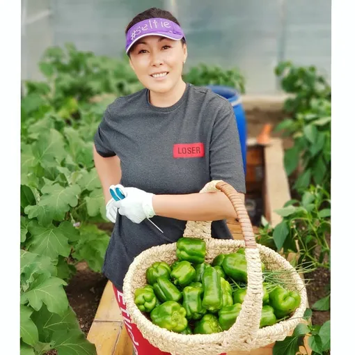 Урожай Аниты Цой уничтожают вредители