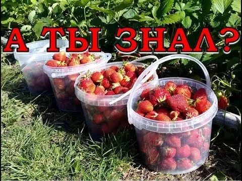 Нажми и смотри