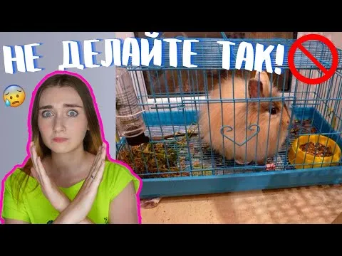 Нажми и смотри
