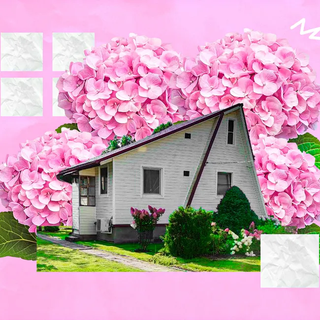 «На моём участке больше 70 кустов гортензий»: невероятно красивый сад в Подмосковье — фото