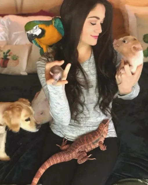 у женщины дома живут 200 животных у женщины дома живут 200 животных