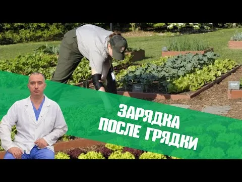 Нажми и смотри