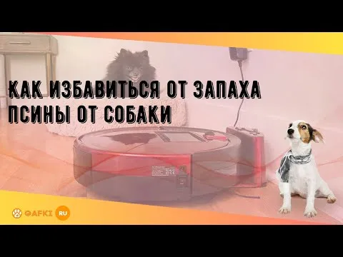 Нажми и смотри