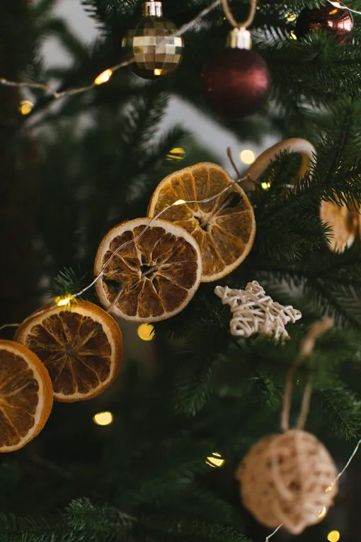 Гирлянда из сушеных апельсинов и яблок Гирлянда из сушеных апельсинов и яблок