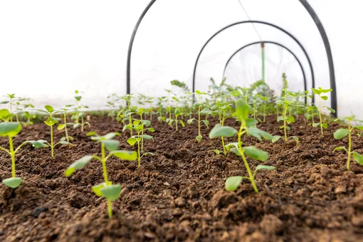 Какая погода будет на майские 2026 прогноз