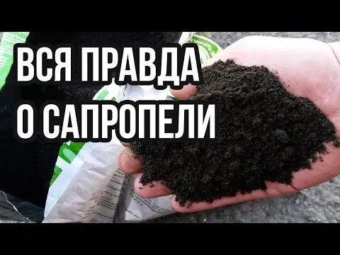 Нажми и смотри
