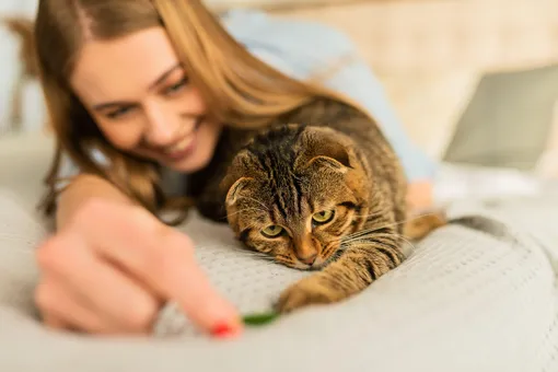 как быстро убрать квартиру