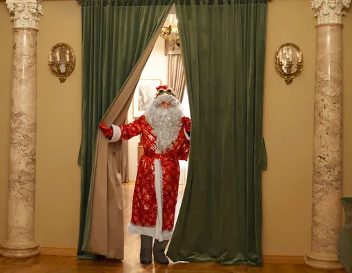 Научная ёлка политехнического музея и музея современной истории Научная ёлка политехнического музея и музея современной истории