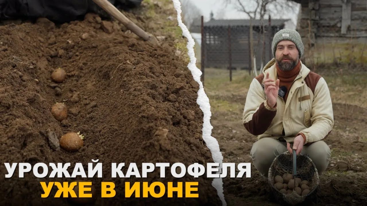 Нажми и смотри
