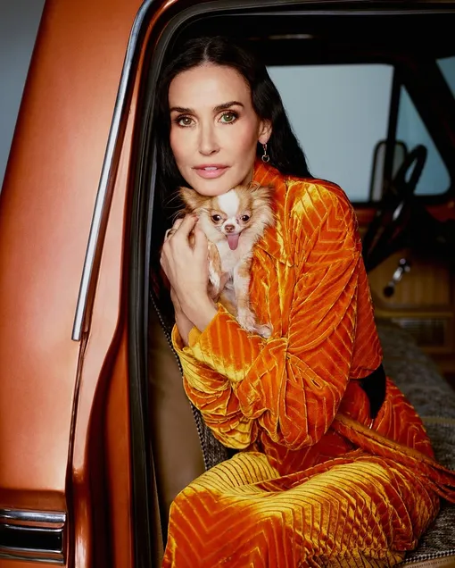 Деми Мур со своим чихуахуа Деми Мур со своим чихуахуа
