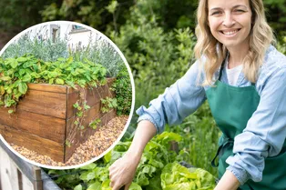 Без боли в спине, но с огромным урожаем: 9 преимуществ приподнятых грядок