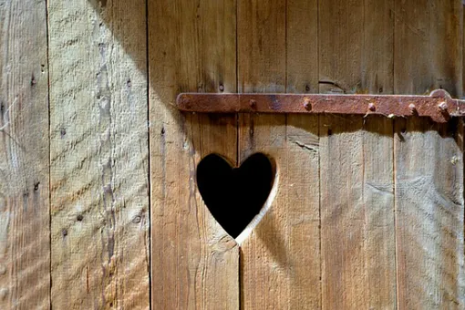 Не откладывай свидание с унитазом, или несколько фактов о запоре Не откладывай свидание с унитазом, или несколько фактов о запоре