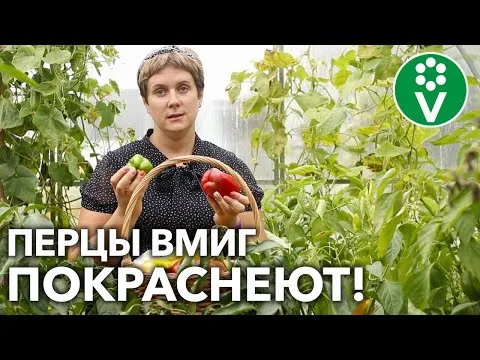 Нажми и смотри