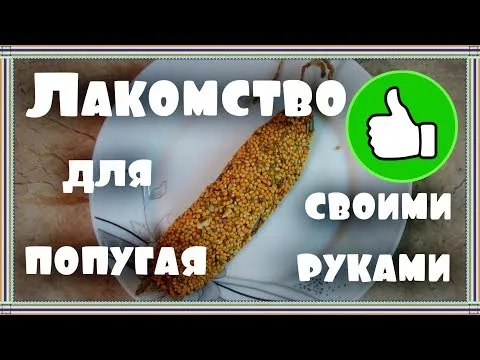 Нажми и смотри