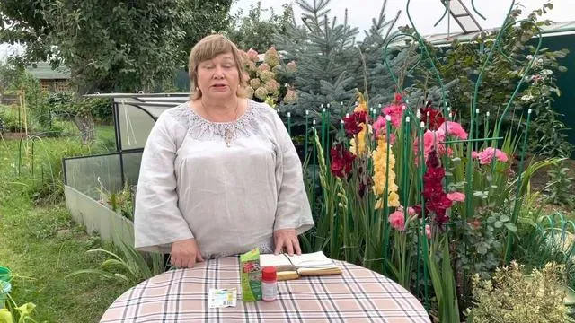 Нажми и смотри