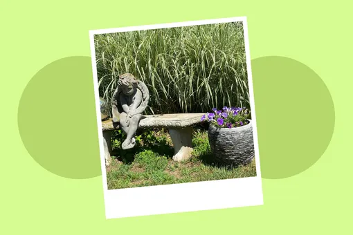 Оптическая иллюзия: найдите собаку, которая смотрит прямо на вас Оптическая иллюзия: найдите собаку, которая смотрит прямо на вас