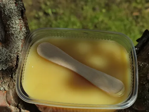 Методы лечения повреждённых грызунами деревьев Методы лечения повреждённых грызунами деревьев